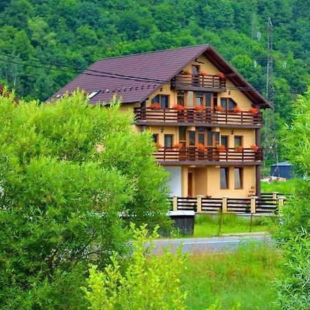 Hotel Casa Vadeanu Sighetu Marmaţiei Exterior foto
